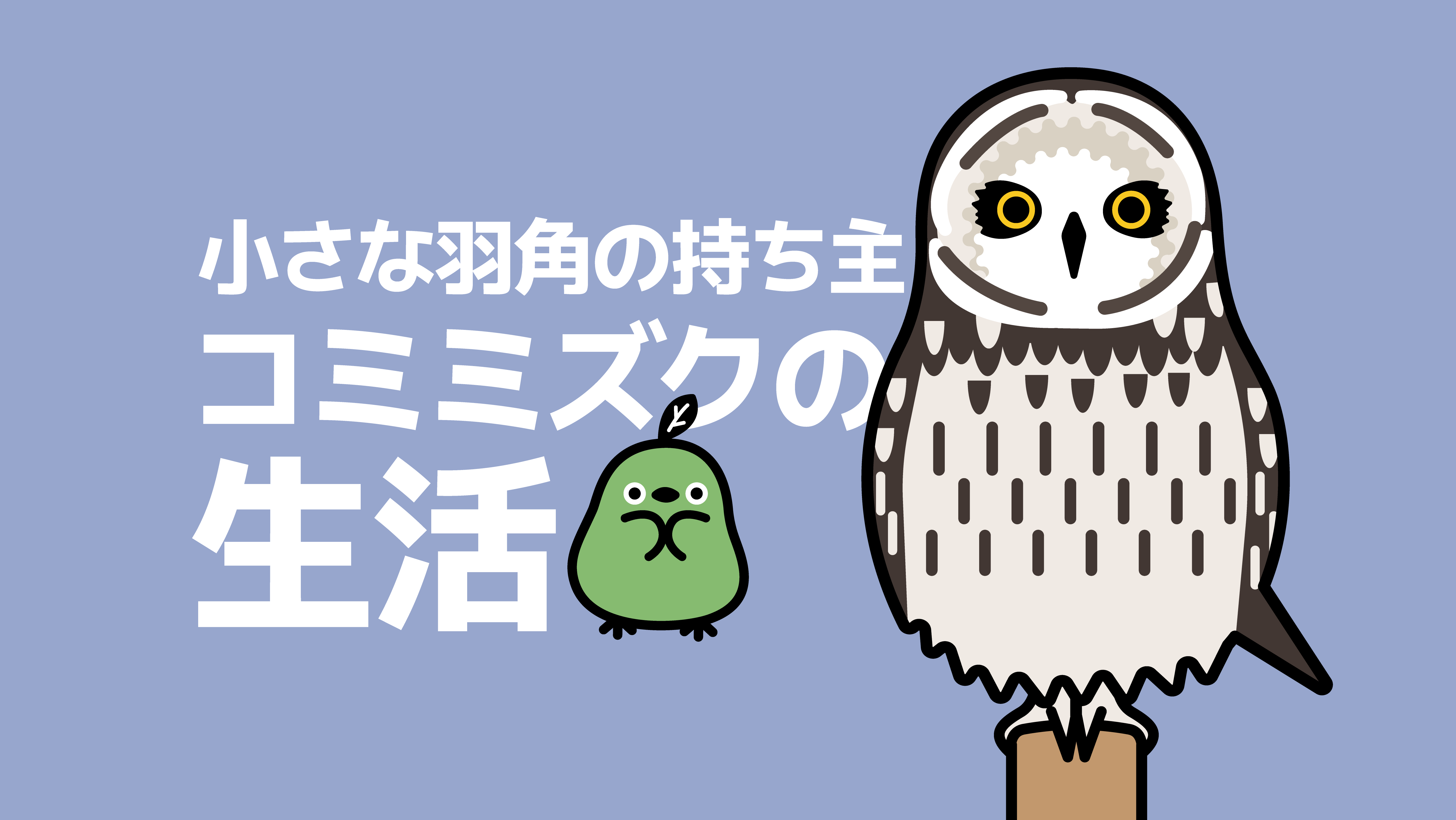 小さな羽角の持ち主、コミミズクの生活 - トリまめ | Torimame