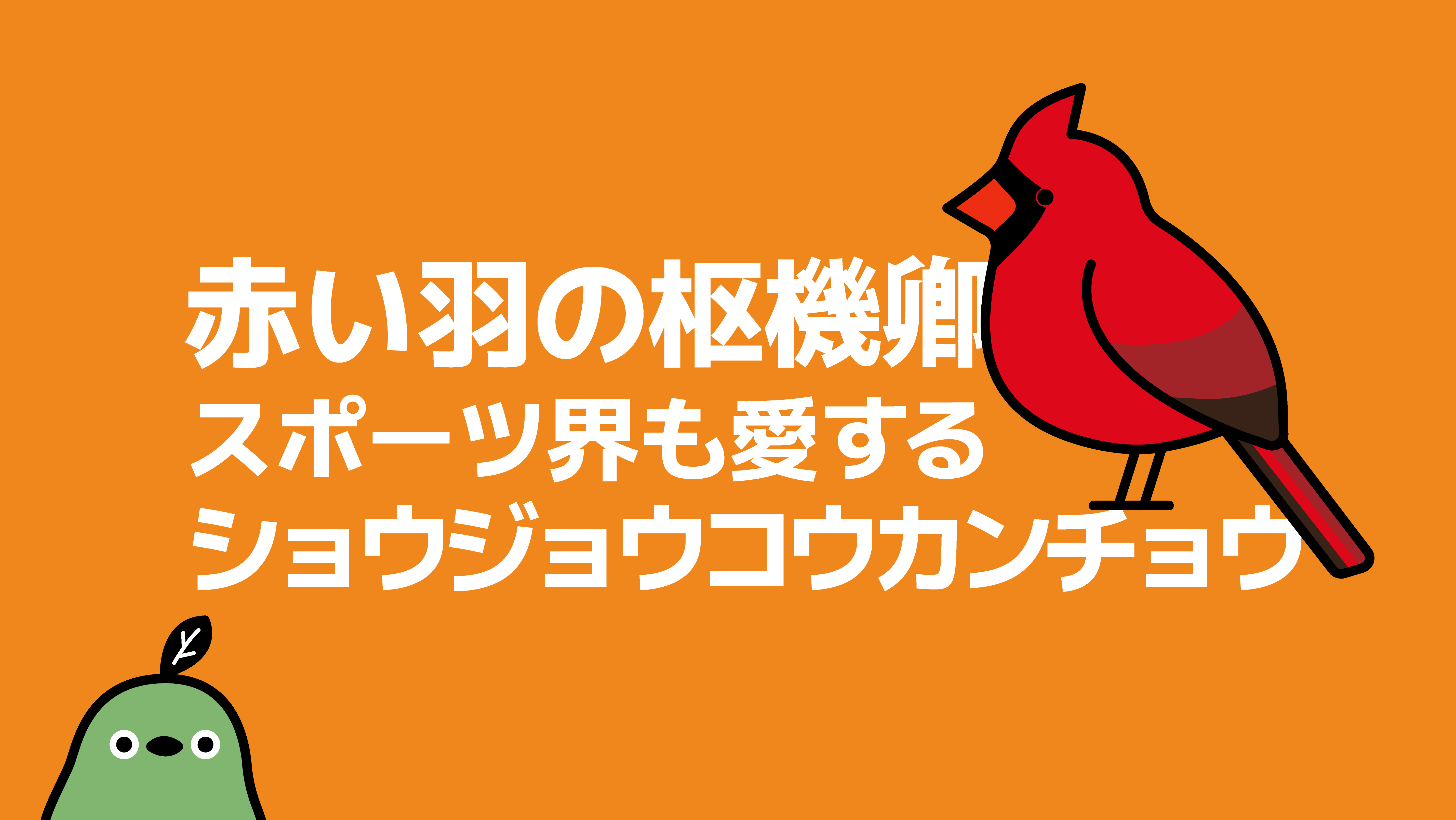 赤い羽の枢機卿、スポーツ界も愛するショウジョウコウカンチョウ 